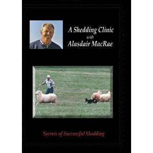  A Shedding Clinic with Alasdair MacRae Stockdog Training 