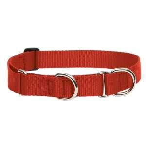  1 Red 15 22 Combo Collar