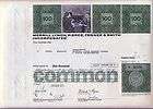   Lynch Pierce Fenner & Smith Stock Certificate Issued to M.L Bank of A