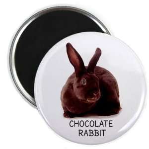   RABBIT Easter Bunny 2.25 inch Locker Fridge Magnet 
