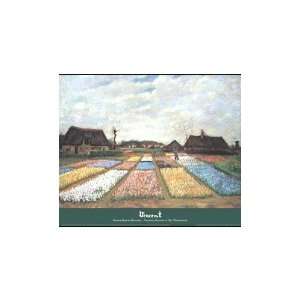 Flower Beds In Holland Poster Print