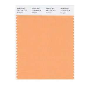  PANTONE SMART 14 1139X Color Swatch Card, Pumpkin