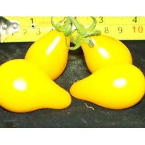  25 Yellow Pear Tomato Seed By Duncan Seed Patio, Lawn & Garden