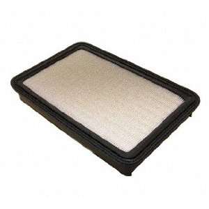  Forecast Products AF194 Air Filter Automotive