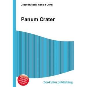  Panum Crater Ronald Cohn Jesse Russell Books