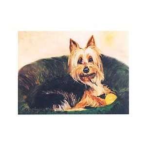 Silky Terrier Notecards by Ruth Maystead