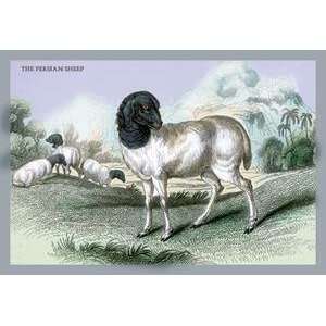  Vintage Art Persian Sheep   05812 9