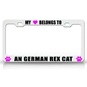 MY HEART BELONGS TO A GERMAN REX Cat Pet Auto License Plate Frame Tag 