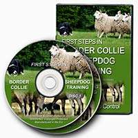 AT LAST . .  A professionally produced sheepdog training programme 