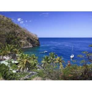  Caribbean, St Lucia, Anse Chastanet Beach Premium 