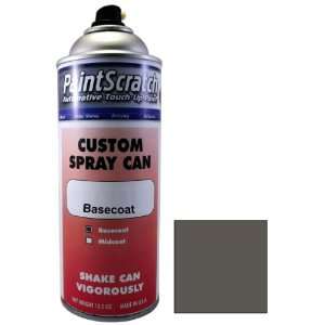  12.5 Oz. Spray Can of Vapor Silver Metallic Touch Up Paint 