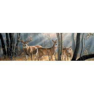  VantagePoint 020283L Big Game Whitetail Deer Rear Window 