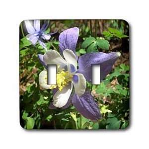  Flowers   Columbine Flower   Light Switch Covers   double 