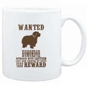   White  Wanted Komondor   $1000 Cash Reward  Dogs