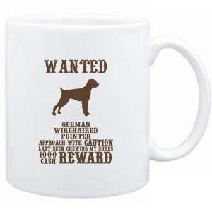   Wirehaired Pointer   $1000 Cash Reward  Dogs