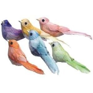   Accents Medium Bird Swallow 4 1/2 Feather Assorted