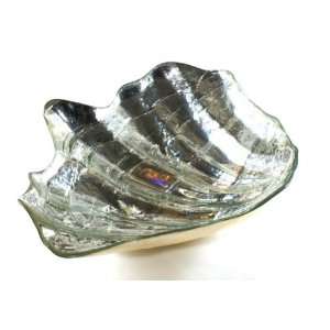  Arda Glassware 51440310 Clam Handmade 8X10 in. Bowl Set Of 