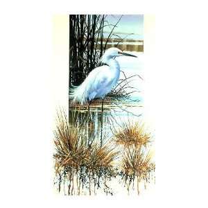  Luke Buck   Snowy Egret