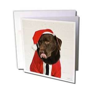 Kike Calvo Christmas Dog   Labrador dog dressed as Santa 