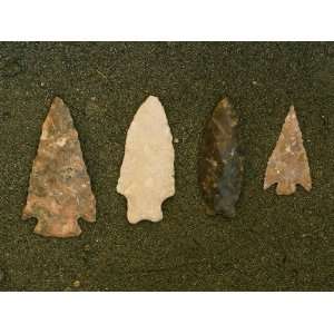 Four Arrowheads Discovered at an Archaeological Site Photographic 
