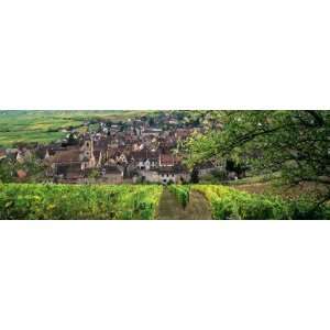 High Angle View of a Village, Barr, Bas Rhin, Alsace, France 