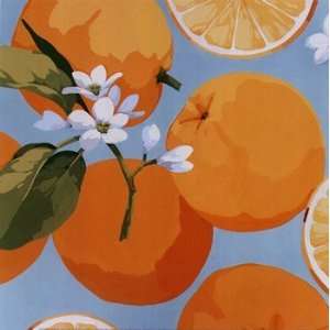 Martha Negley Fresh Oranges 10x10 Poster Print 