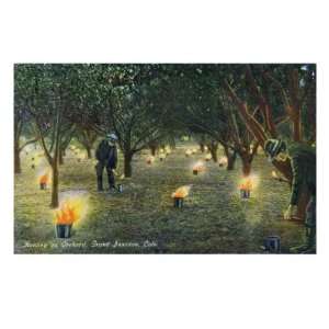Grand Junction, Colorado   Farmers Lighting Fires to Heat an Orchard 