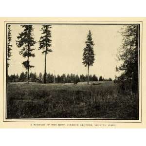  1911 Print Reed College Grounds Portland Oregon Scenery 
