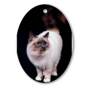  Birman Cat Cat Oval Ornament by 