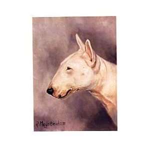  White Bull Terrier Head Study Notecards 
