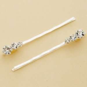  Graduated Round Crystal Silver Bobby Pins Beauty