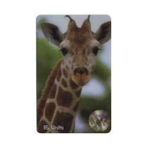   15u Giraffe (Photo From Middle Neck To Head) SPECIMEN 