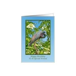  Birthday, Friend, Tricolored Heron in a Tree Card Health 