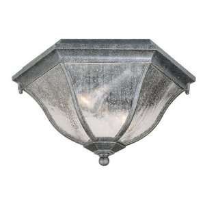 Acclaim Lighting 5615ST 2 Light Outdoor Close to Ceiling 