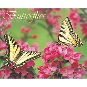  Butterflies of North America 2010 Wall Calendar