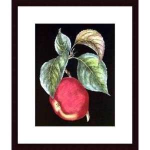   Avoine Apples I   Artist Pierre Joseph DAvoine  Poster Size 18 X 14