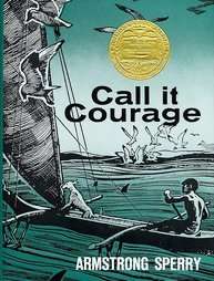 Call It Courage by Armstrong Sperry 1968, Hardcover 9780027860306 