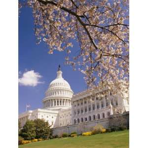  A View of a Cherry Tree in Bloom and the West Face of the 