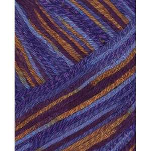   Panda Silk DK Print Yarn 8115 Purple Dawn Arts, Crafts & Sewing
