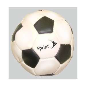  T670    2 Soccer Kickball