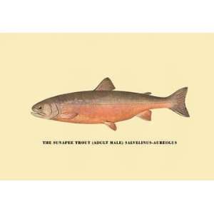   Exclusive By Buyenlarge The Sunapee Trout 20x30 poster