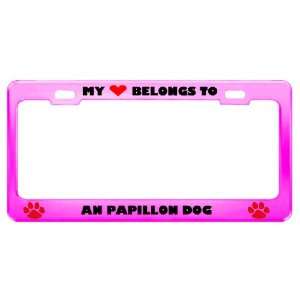  An Papillon Dog Pet Pink Metal License Plate Frame Tag 