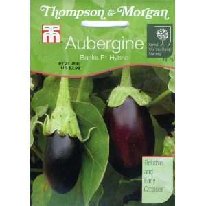  & Morgan 4771 RHS Aubergine Banka Seed Packet Patio, Lawn & Garden