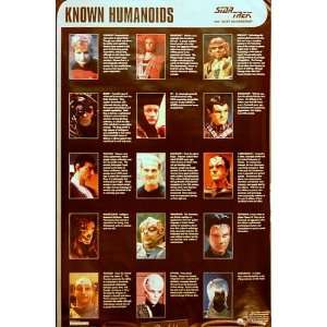  Star Trek Known Humanoids 23x35 Poster