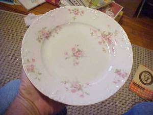 See my listings for 12 more attractive HAVILAND plates.