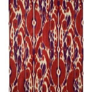  Bayadere Ikat   Scarlet/Plum Indoor Multipurpose Fabric 