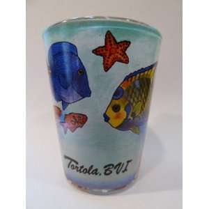  Tortola, BVI Tropical Fish In and Out Shot Glass Kitchen 