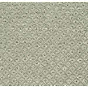  2541 Gorman in Mist by Pindler Fabric