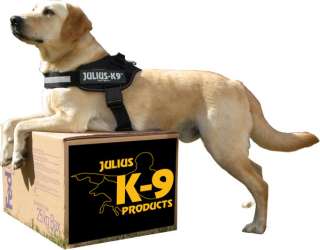 Julius K9 IDC power harness with siderings, 2 colors  