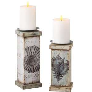   Nautilus and Conch Sea Shell Pillar Candle Holders 11